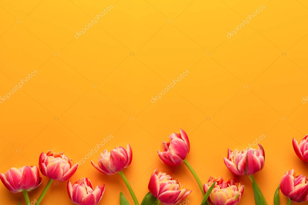 Spring Flowers Tulips On Pastel Colors Background Greeting Card Retro Vintage Style Mother Day Easter Greeting Card 250382870 Larastock