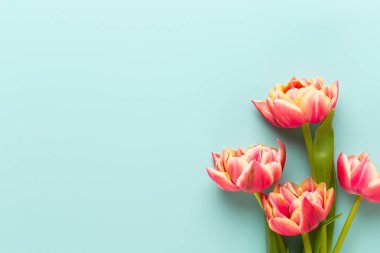 Bahar çiçekleri, pastel renkler zemin üzerine lale. Retro vintag