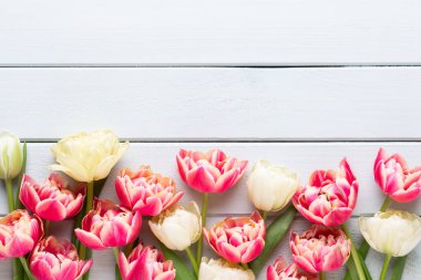 Pastel arka planda bahar çiçekleri laleleri. Retro vintage