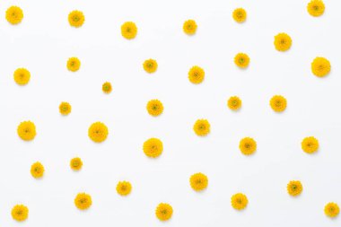 Çiçek kompozisyon. Beyaz bac üzerinde sarı çiçek desen yaptı