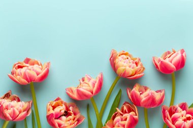 Bahar çiçekleri, pastel renkler zemin üzerine lale. Retro vintag