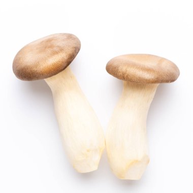 istiridye mantar beyaz zemin üzerine Kral.