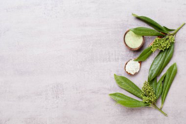 Bio bitkisel yeşil kozmetik düzenleme, deniz tuzu ve el yapımı çünkü