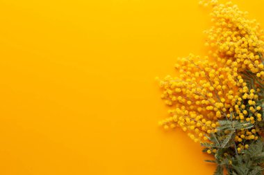 Sarı arka planda sarı çiçek deseni. Bahar selamlaması c