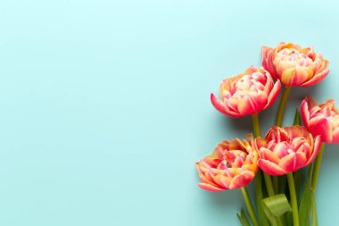 Bahar çiçekleri, pastel renkler zemin üzerine lale. Retro vintag