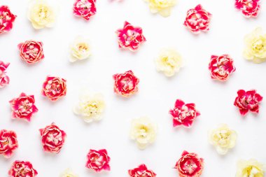 Pastel arka planda bahar çiçekleri laleleri. Retro vintage