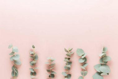 Çiçek ve eucaaliptus bileşimi. Desen çeşitli col yaptı