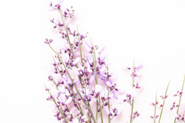 Çiçek kompozisyon. Pembe çiçekler pembe bir arka plan üzerinde. Paskalya, sp