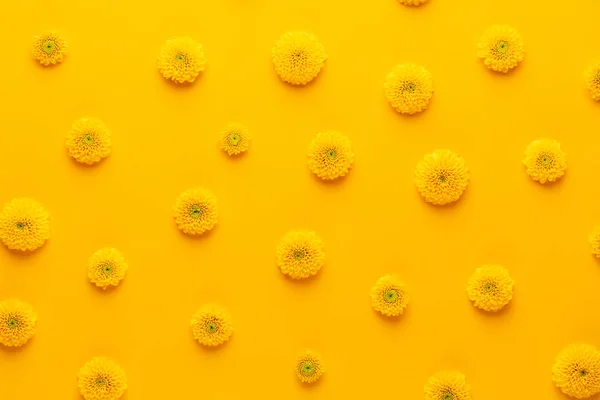 Padrão de flor amarela em um fundo amarelo. Saudação Primavera c — Fotografia de Stock