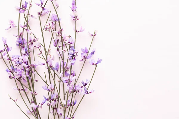 Flowers composition. Pink flowers on pink background. Easter, sp — Stock Photo, Image