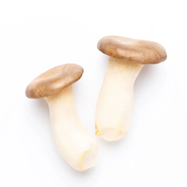 King oyster mushroom on white background. — Stock Photo, Image