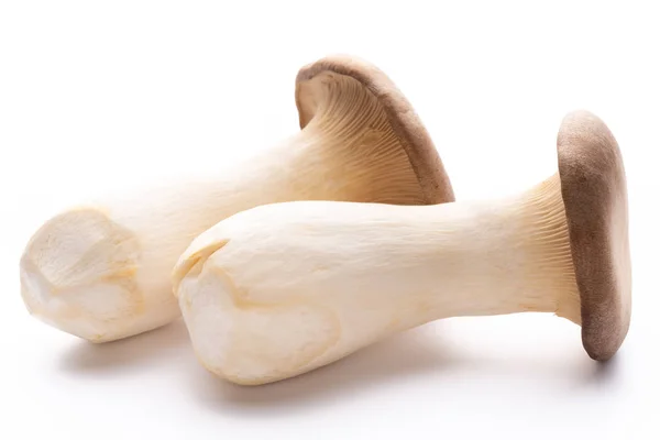 King oyster mushroom on white background. — Stock Photo, Image