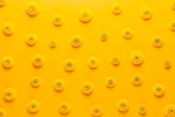 Yellow flower pattern on a yellow background.  Spring greeting c