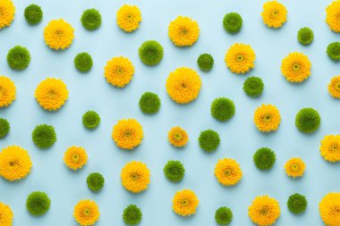 Sarı arka planda sarı çiçek deseni. Bahar selamlaması c