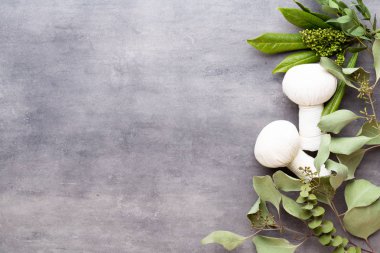 Spa tedavi kavramı, doğal cosmeti ile düz yatıyordu kompozisyon