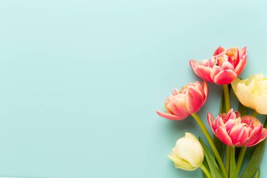 Bahar çiçekleri, pastel renkler zemin üzerine lale. Retro vintag