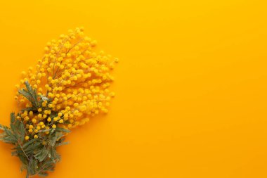 Sarı arka planda sarı çiçek deseni. Bahar selamlaması c