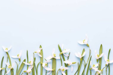 Taze kardelen metin için yer ile mavi arka plan üzerinde. Bahar g