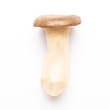 istiridye mantar beyaz zemin üzerine Kral.