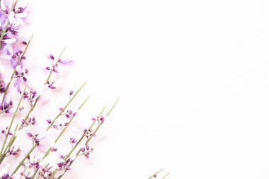 Çiçek kompozisyon. Pembe çiçekler pembe bir arka plan üzerinde. Paskalya, sp