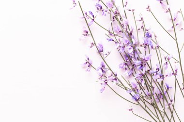 Çiçek kompozisyon. Pembe çiçekler pembe bir arka plan üzerinde. Paskalya, sp