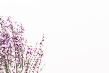 Çiçek kompozisyon. Pembe çiçekler pembe bir arka plan üzerinde. Paskalya, sp