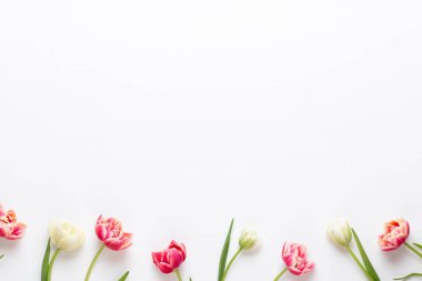 Pastel arka planda bahar çiçekleri laleleri. Retro vintage