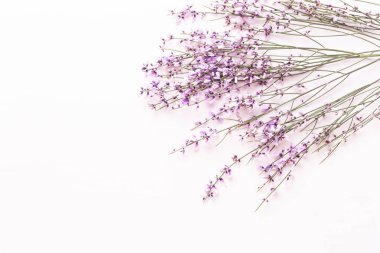 Çiçek kompozisyon. Pembe çiçekler pembe bir arka plan üzerinde. Paskalya, sp