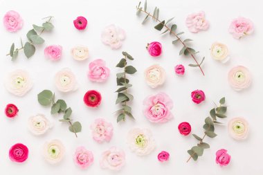 Beyaz bir arka plan üzerinde güzel renkli tipik çiçekler. Sprin