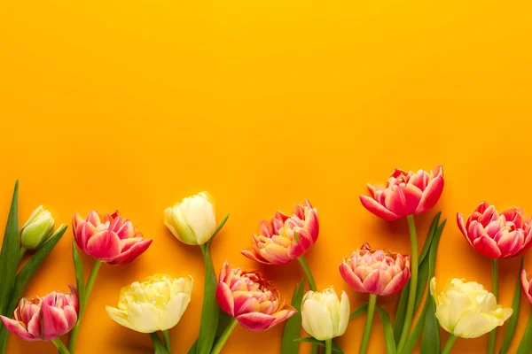 Wiosenne kwiaty, tulipany na pastelowe kolory tła. Retro ubierania — Zdjęcie stockowe