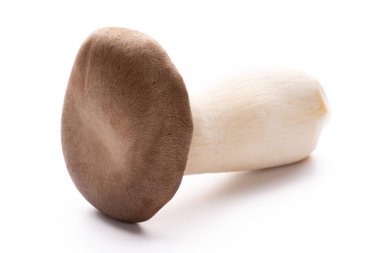 istiridye mantar beyaz zemin üzerine Kral.