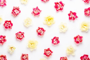 Pastel arka planda bahar çiçekleri laleleri. Retro vintage