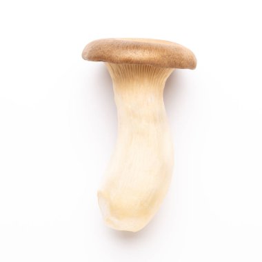 istiridye mantar beyaz zemin üzerine Kral.