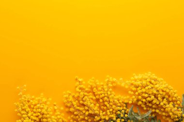 Sarı arka planda sarı çiçek deseni. Bahar selamlaması c