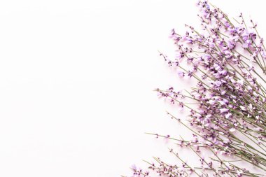 Çiçek kompozisyon. Pembe çiçekler pembe bir arka plan üzerinde. Paskalya, sp