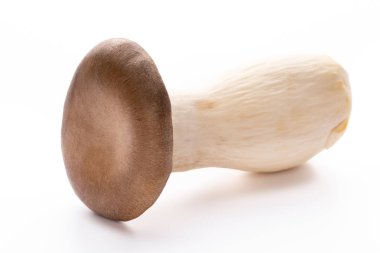 istiridye mantar beyaz zemin üzerine Kral.