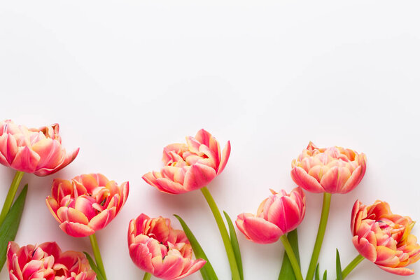 Весенние цветы, тюльпаны на фоне пастельных цветов. Ретро-винтаг
