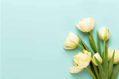 Bahar çiçekleri, pastel renkler zemin üzerine lale. Retro vintag