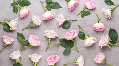 Çiçekler sevgililer günü kompozisyonu. GR üzerindeki pembe gülden yapılmış çerçeve