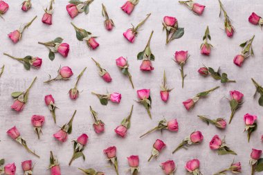 Çiçekler sevgililer günü kompozisyonu. GR üzerindeki pembe gülden yapılmış çerçeve