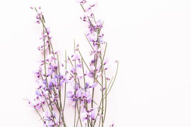 Çiçek kompozisyon. Pembe çiçekler pembe bir arka plan üzerinde. Paskalya, sp