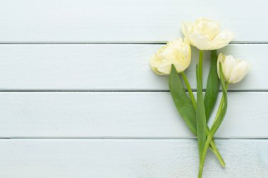 Pastel arka planda bahar çiçekleri laleleri. Retro vintage