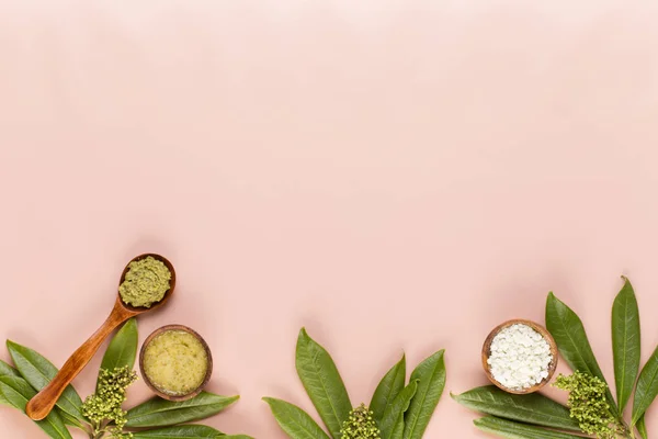 Bio växtbaserade grön kosmetiska arrangemang, sea salt och handgjorda cos — Stockfoto