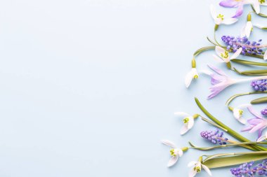 Taze kardelen metin için yer ile mavi arka plan üzerinde. Bahar g