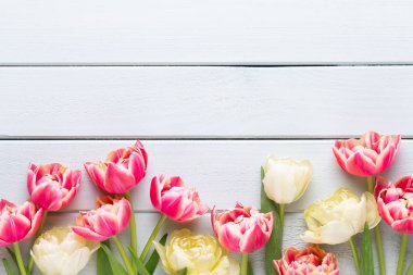 Pastel arka planda bahar çiçekleri laleleri. Retro vintage