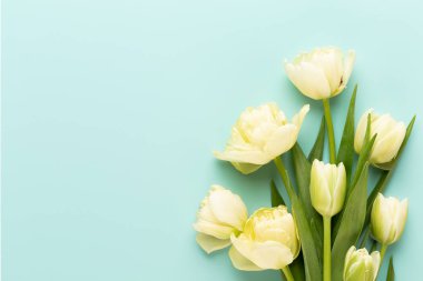 Bahar çiçekleri, pastel renkler zemin üzerine lale. Retro vintag