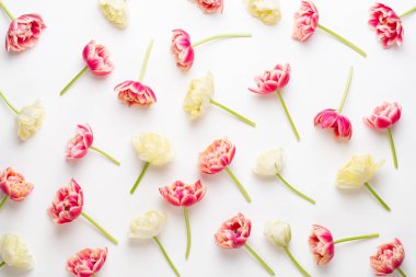 Pastel arka planda bahar çiçekleri laleleri. Retro vintage