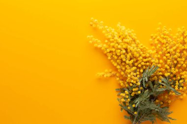 Sarı arka planda sarı çiçek deseni. Bahar selamlaması c