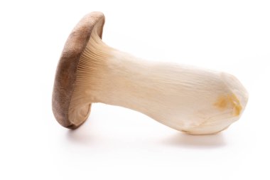 istiridye mantar beyaz zemin üzerine Kral.