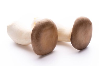 istiridye mantar beyaz zemin üzerine Kral.